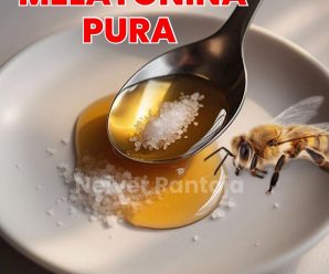 Esta es La combinación perfecta para que el cuerpo entre en un estado de relajación y mejore significativamente el sueño.