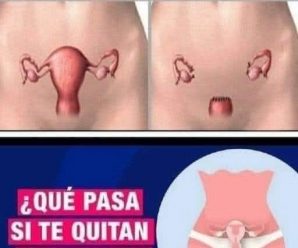 Esto le pasa al cuerpo cuando le quitan el útero