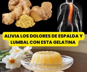 La gelatina de jengibre tiene propiedades antiinflamatorias que pueden ayudar a aliviar el malestar.
