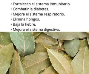 Porque nadie te dirá el poder del LAUREL
