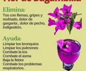 Esta Flor te podría salvar la vida