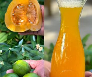 Destapa tus venas tapadas y llenas de colesterol, cuida tu corazón, destruye bacterias y parásitos y mucho más con esta potente mezcla casera.