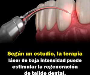 Según un estudio, la terapia láser puede estimular la regeneración de tejido dental.