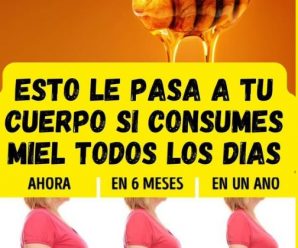 No te imaginas los increíbles beneficios que tiene la miel para tu cuerpo