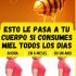 No te imaginas los increíbles beneficios que tiene la miel para tu cuerpo