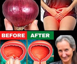 Beneficios de la cebolla para la próstata y la vejiga: propiedades medicinales y cómo aprovecharlas
