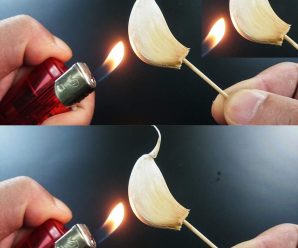 Quema un diente de ajo en casa y descubre sus beneficios