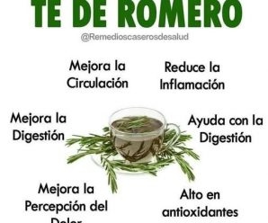 Hierve Manzana Con Romero Y Tendrás Una Gran Sorpresa Con El Resultado
