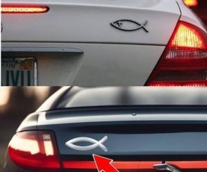 El pez en la parte trasera del auto: quién lo coloca y qué significa