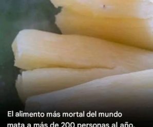 🚨‼ ATENCIÓN TODOS ‼🚨 ¡Madre mía! Yo también lo como en abundancia… Ver más