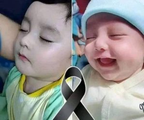 Cuánta tristeza 😭 acaba de fa4llec3r esta hermosa criatura por un descui…Ver más
