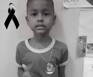 Menino morre após ser atacado por pitbull em Boa Vista
