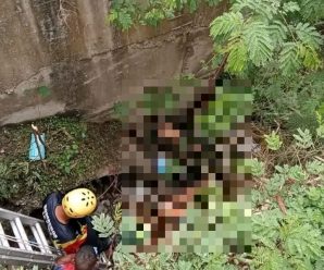 La encuentran sin vida en la autopista, se trata de la recon… Ver mas