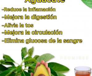 Té de hoja de aguacate
