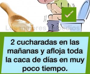 Aloe Vera para Desintoxicarte: 2 Cucharadas y Notarás Resultados Increíbles