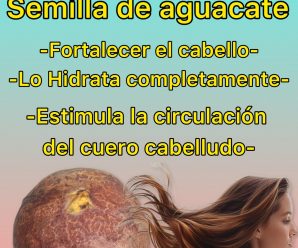 Sabías que la semilla o Pepa de aguacate me puede ayudar al crecimiento de tu cabello.👇