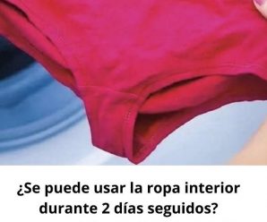 ¿Podemos usar ropa interior 2 días seguidos?