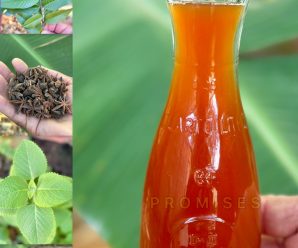 El Té que￼ saca el azúcar de la sangre, elimina la mala circulación, la diabetes y los dolores de rodillas ￼👇