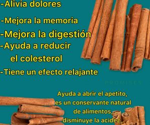 Té de canela y sus beneficios