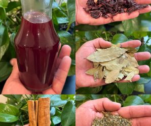 Si estás buscando una bebida que pueda eliminar todas tus Enfermedades de manera natural y sin tener que tomar ningún tipo de medicamento con esta poderosa bebida lo vas a lograr más rápido de lo que imaginas.👇