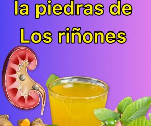 La bebida que elimina las piedras de los riñones en un abrir y cerrar de ojos, si está padeciendo de problemas renales y quieres eliminarlo de manera natural entonces está bien es para ti