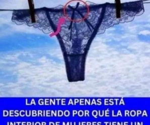 Ropa interior femenina: confianza que nace desde adentro