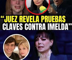 Ahora Un Juez Confirmó Evidencia Que La Comprometen Dejándonos Petrificados