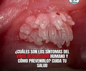 Papiloma humano, un enemigo silencioso – pero la naturaleza tiene la cura…