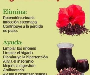 AGUA DE FLOR DE JAMAICA