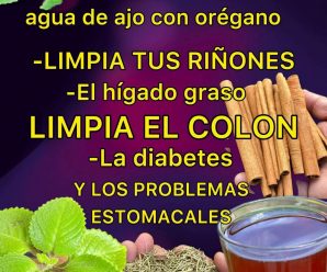 SABÍAS QUE EL AGUA DE AJO CON ORÉGANO LIMPIA TUS RIÑONES