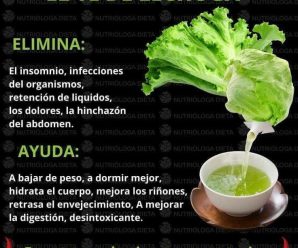 TE DE LECHUGAS
