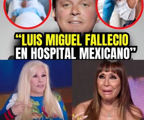 Luis Miguel, conocido como “El Sol de México”, es una de las figuras más icónicas de la música latina.