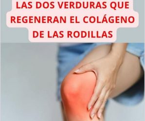 ¿Sufres de dolor de rodillas y articulaciones? Coloque una hoja de repollo en la zona afectada y pare de sufrir.