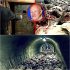 ¡ESCÁNDALO EN HOLLYWOOD! El FBI Descubre un Túnel Secreto Bajo la Mansión de Gene Hackman: Lo Que Encontraron Dejó a Todos Pálidos