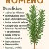El romero..ver más