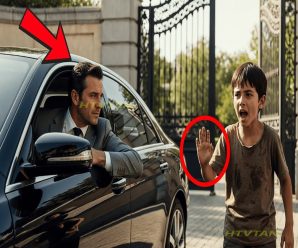 ¡No Conduzcas! ¡Tu Esposa Cortó Los Frenos! — Dijo Un Niño Sin Hogar Al Millonario… Y Entonces Pasó
