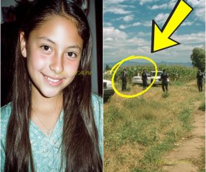 Niña desapareció en 2003 en un campo de maíz – 2 días después, camionero encontró algo perturbador…..