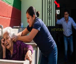 “HIJO ATRAPA A SU ESPOSA LASTIMANDO A SU MAMÁ… Y ACTÚA!”
