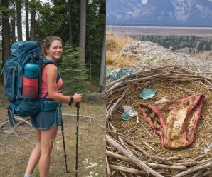 Excursionista desapareció en Grand Teton; 11 meses después hallan esto en un nido de águila…