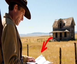 Un ranchero solitario compró un terreno barato… y descubrió por qué nadie lo quería