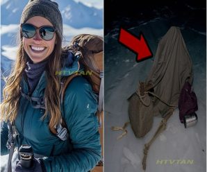 Turista Desapareció en Alaska — 7 Años Después Hallada bajo Hielo con Piedras Atadas a los Pies…