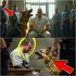 Su último deseo antes de ser ejecutado fue ver a su perro, pero lo que sucedió lo cambió todo