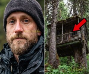 Turista Desapareció en los Bosques de Ketchikan,9 Años Después Hallado en Cabaña Abandonada en Árbol