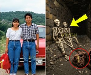 Pareja desaparece en 1994 durante viaje por la Sierra de Zongolica — 11 años después, hallan algo…