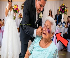SU HIJO LA GOLPEÓ Y LA DERRIBÓ EN PLENA BODA… PERO LA ABUELA SE VENGÓ DE UNA FORMA INESPERADA…..
