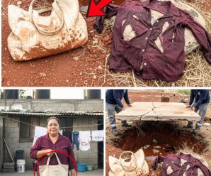 La Blusa Burdeos: Una Madre Desaparecida, La Lucha Interminable de una Familia por un Fantasma