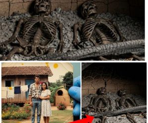 Casal desapareceu em 2006 na zona rural do Ceará — 13 anos depois acham esqueleto em buraco de forno