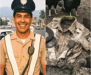 8 Años Después de que Policía Vial Desapareciera en Acapulco en 1995 — Farero Encuentra Esto…