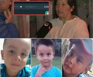 Mensaje clave sale a la luz y REVUELVE el caso Loan… ¿qué revela?…Ver más