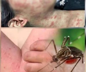 Cuidado estas son las consecuencias de dormir con…Ver más